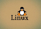 在Linux中如何使用命令行显示公网IP地址？