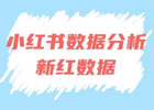 小红书数据分析 -新红数据分析