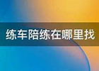 老司机陪练副业，月入2w+市场刚需项目！