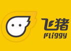 飞猪官网首页入口（飞猪网页版入口网址）