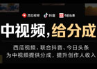 手把手教你实操变现（中视频伙伴计划赚钱实操）